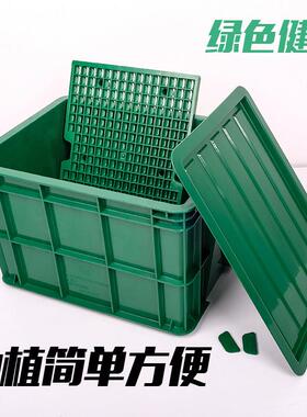 豆芽机家用育苗盘豆芽菜桶生绿豆黄豆发芽盆花生豆芽罐种植塑料盆