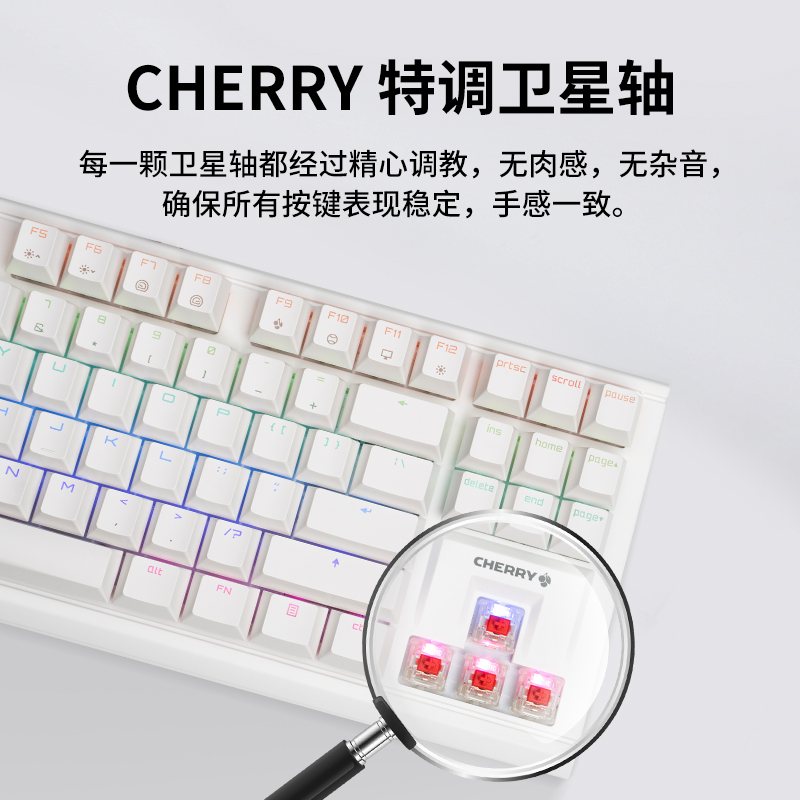 CHERRY樱桃MX11雪原极光RGB彩光电竞键盘87键游戏TKL有线红轴 - 图2