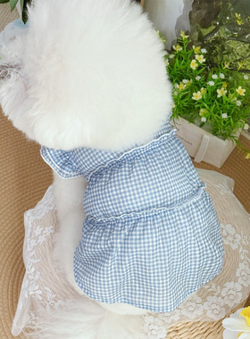 宠物衣服高弹面料猫咪狗狗公主裙