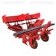 Double row green onion transplanting ZMP chrysanthemum machine for agricultural majors Shandong onion planting machinery