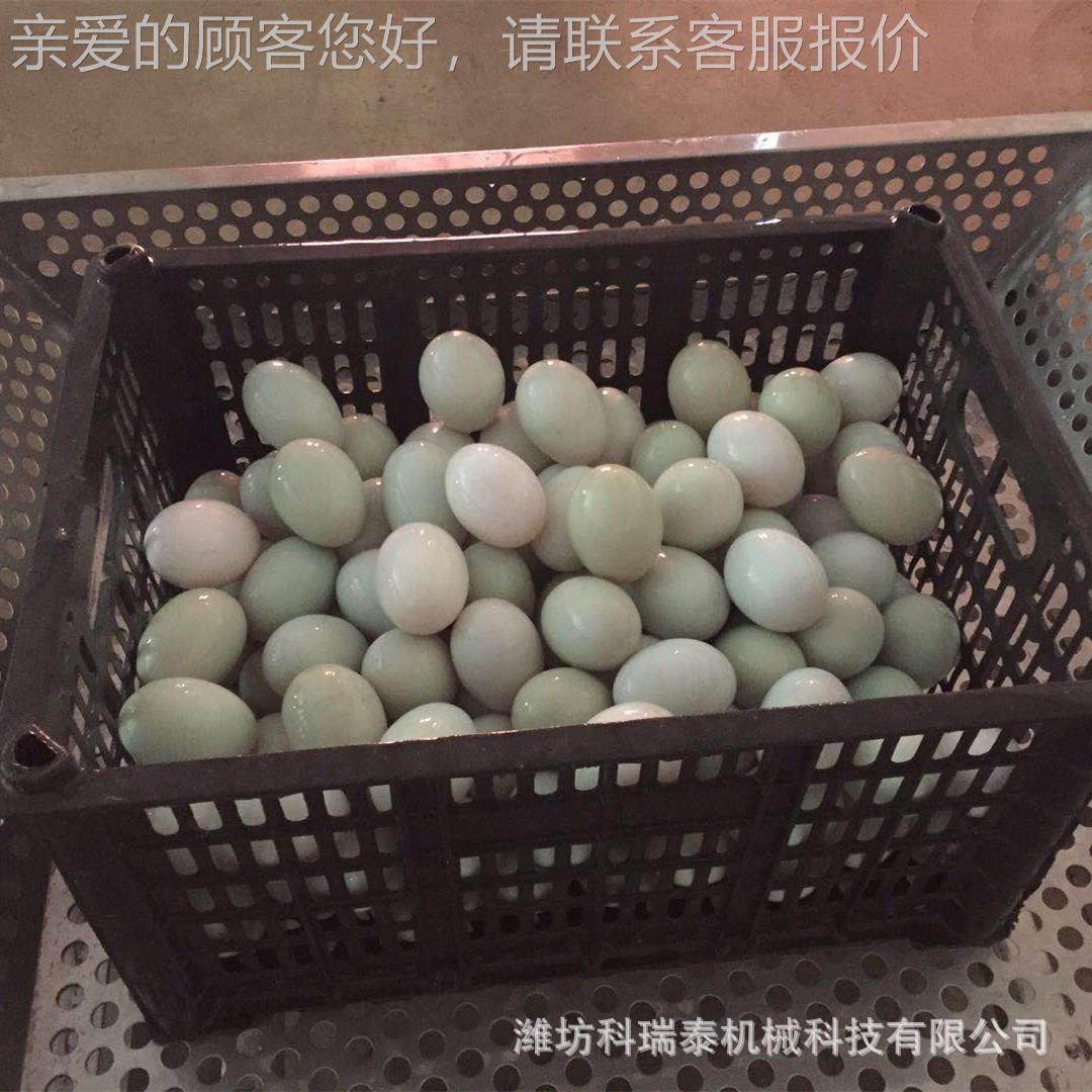 排单循环水蛋清洗机 自动上蛋用洗蛋OWO机 小型商自动化泥洗蛋机,淘宝优惠券,粉丝福利购,淘宝优惠卷