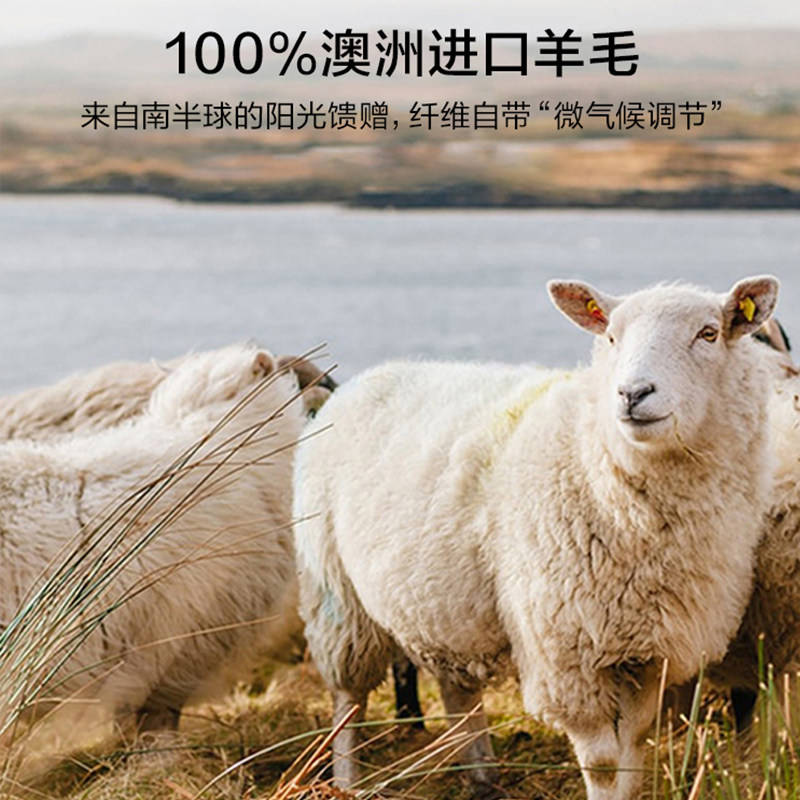 澳洲羊毛被100纯羊毛被子冬被棉被加厚保暖冬季进口羊绒驼绒被芯