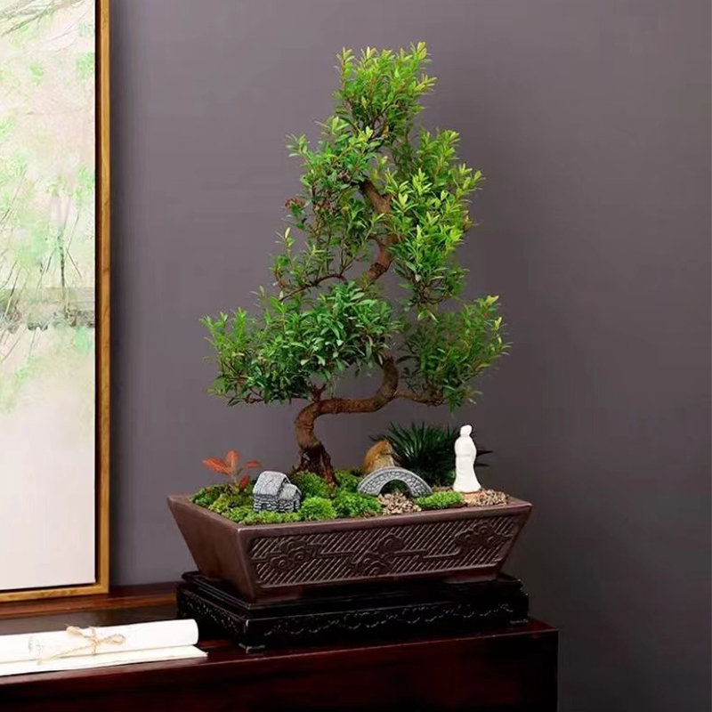 紫砂大口径造景花盆陶瓷哥窑绿植景观多肉拼盘复古拼盆文竹盆景盆 - 图1