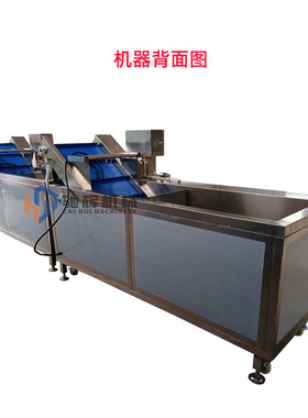 驰辉机械连续式果蔬清洗机西洋菜漂烫清洗机青菜自动清洗流水线