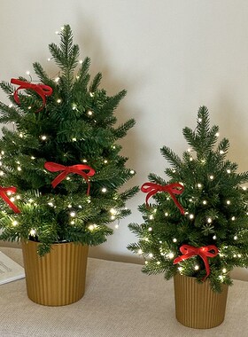 玄关客厅桌面摆件圣诞节家居好物迷你小型圣诞树圣诞礼物装饰品