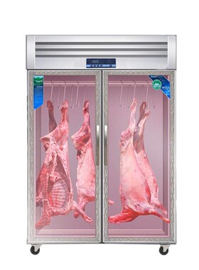 挂肉柜01商用冷牛羊保鲜肉展示子藏冰柜排酸柜鸡鸭鹅吊柜立式冷冻