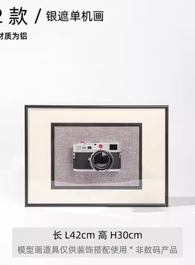 立体装饰画样板间样板房摄影主题挂画相框相机模型手工拼贴画