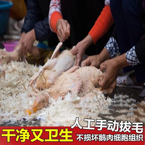 大雁鹅活杀农家散养整只东北非大鹅鹅肉10斤超大冷冻批发驰雁大雁 - 图2