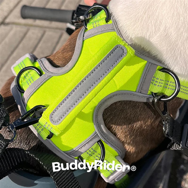 BuddyRider宠物自行车座椅专用可调节中小型宠物背心式户外胸背 - 图2