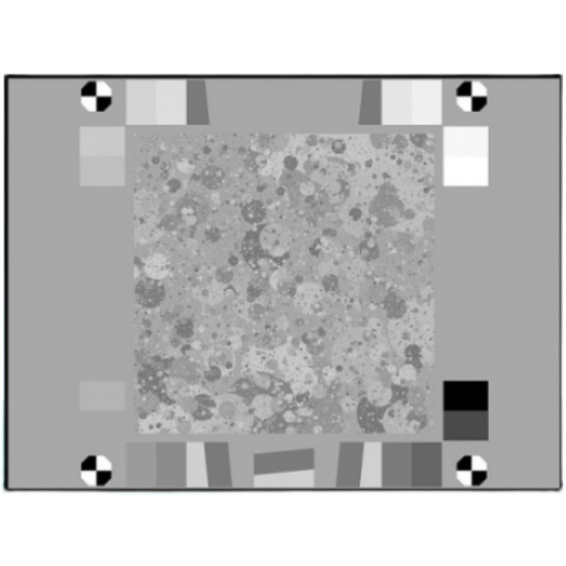 纹理枯叶图 枯叶落币测试   枯叶测试灰卡噪点测试卡落币图chart - 图1