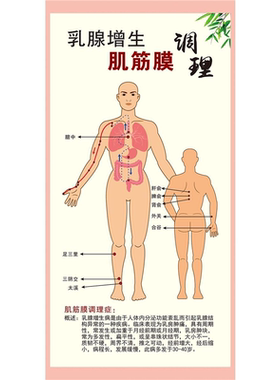 人体骨骼肌肉结构图示意图分布图中医养生装饰挂画海报肌肉骨骼
