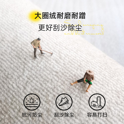 入户门地垫简约进门垫子家用玄关门口F地毯门外防滑耐脏脚垫可定 - 图2