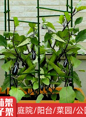 蔬菜豆角瓜果黄瓜爬藤架种植花枝攀爬架支撑杆番茄架子西红柿支架