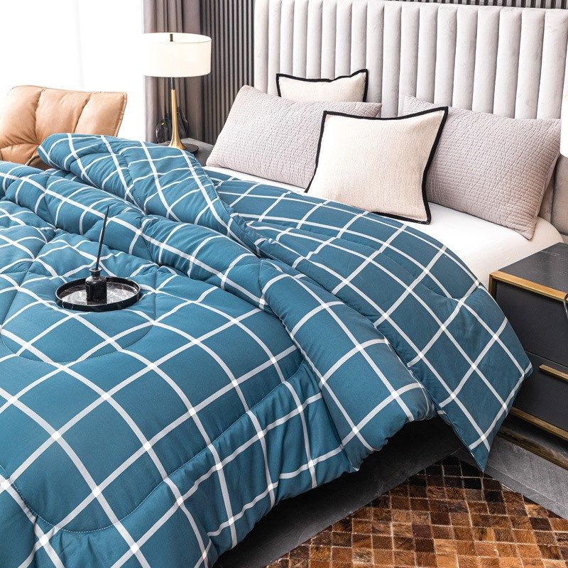 四季双人宿舍单件加厚被子新款洛卡棉冬被学生被四季被仿棉被芯,淘宝优惠券,粉丝福利购,淘宝优惠卷