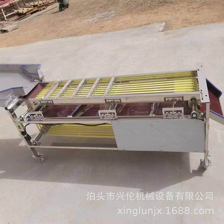 草菇筛选机 杏子分果机 牛奶果分级机 小型轨道式水果分选机,淘宝优惠券,粉丝福利购,淘宝优惠卷