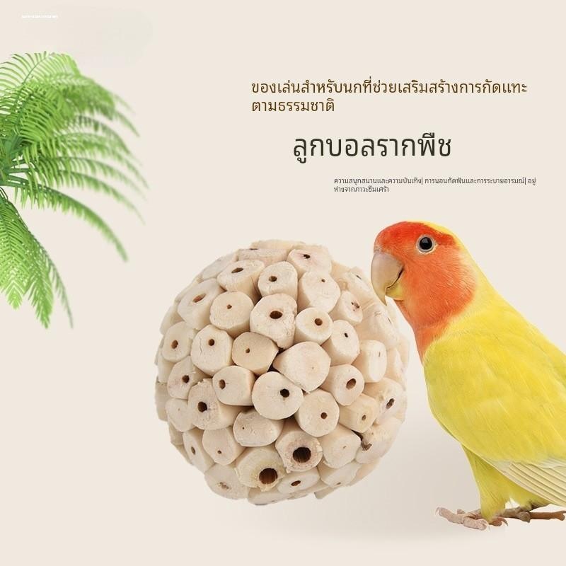 Parrot chews and plays with grass ball, bird toy hair