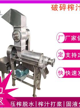 工业大型香蕉去籽原汁机 商用大功率水果蔬菜压榨机 甘蔗榨汁机