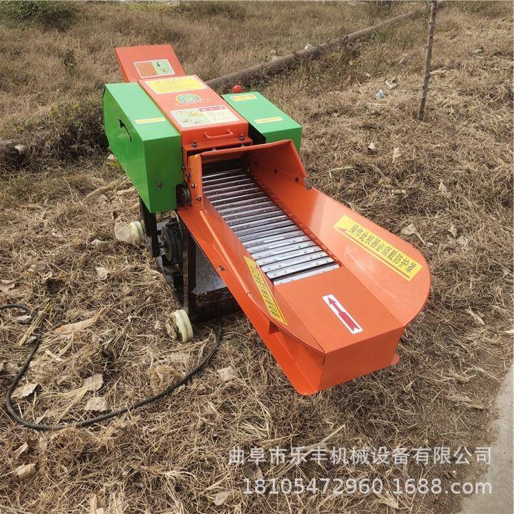 干湿两用秸秆揉丝粉碎机 小型家用铡草机 多功能柔丝粉碎机 - 图0
