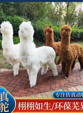 仿真动物羊驼模型景区草泥马落地摆件皮毛工艺品仿真驼羊道具标本