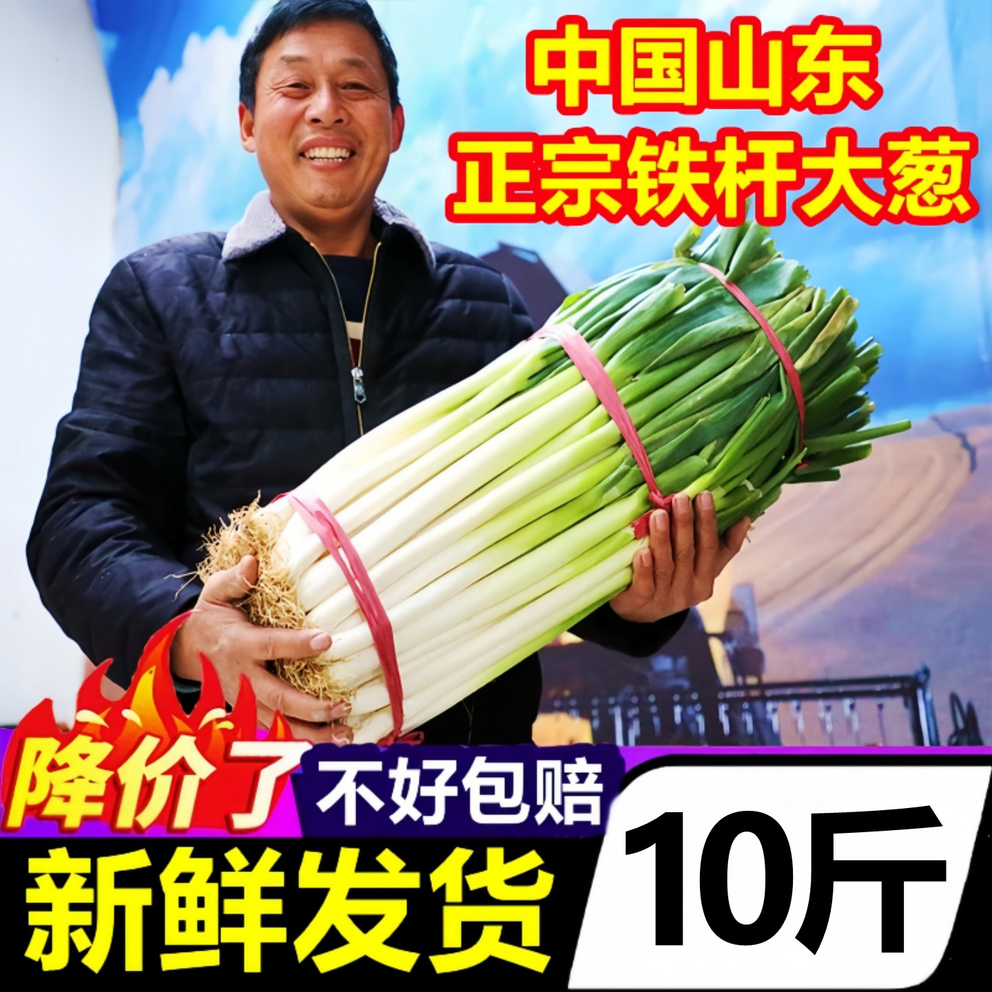 山东正宗章丘铁杆大葱新鲜10斤整箱蔬菜批发甜葱当季嫩葱新葱整箱,淘宝优惠券,粉丝福利购,淘宝优惠卷