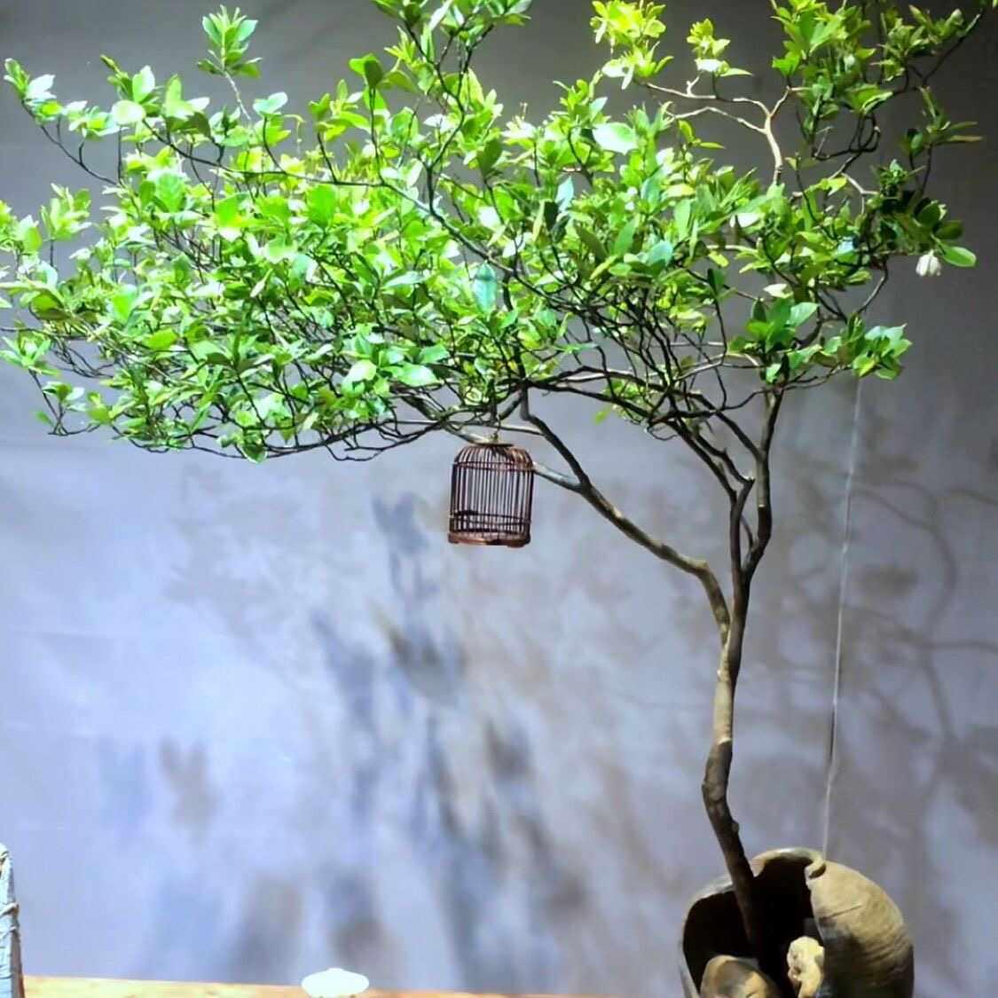 图5