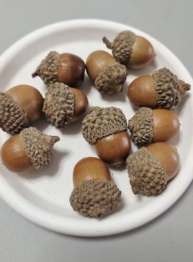 手工diy材料包混装花材天然植物