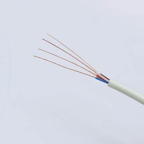 白色室内二芯四芯0.5 0.8 1.0HYA电话线 通信线家庭用电话线100米 - 图1