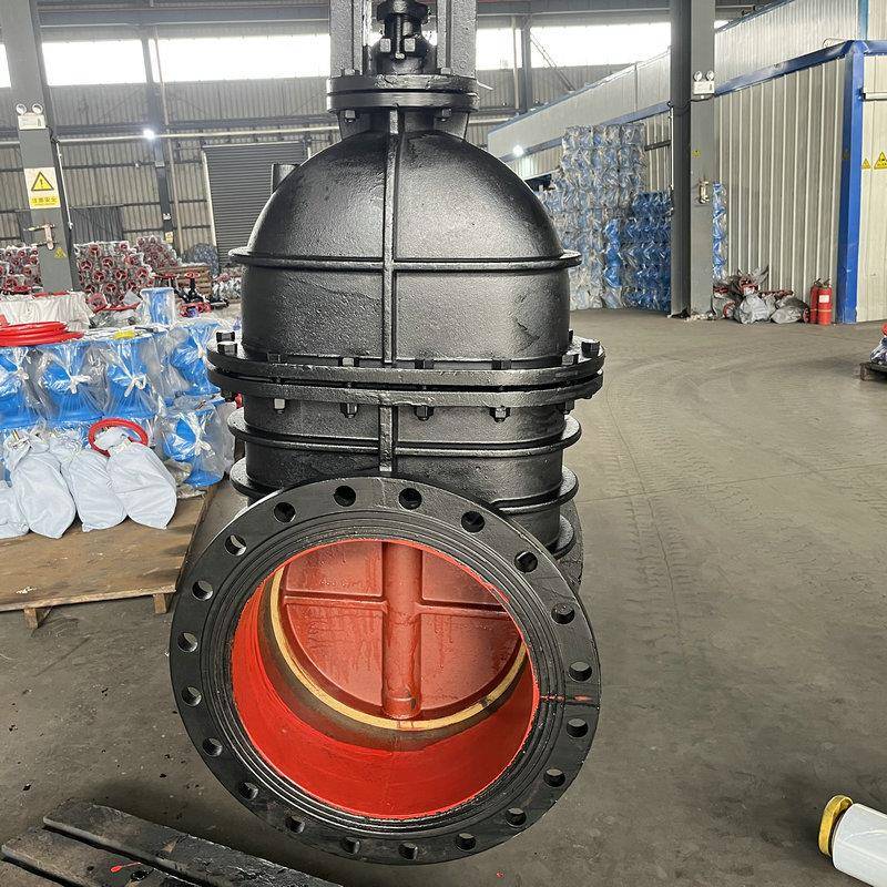 球铁明杆闸阀DN450-DN500电手动水利管道阀硬密封16公斤Z41T-16Q - 图2