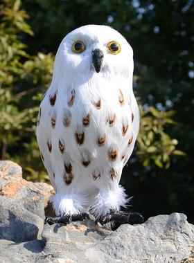 热卖仿真羽毛哈利波特猫头鹰道具cosplay表演摄影装饰橱窗摆件