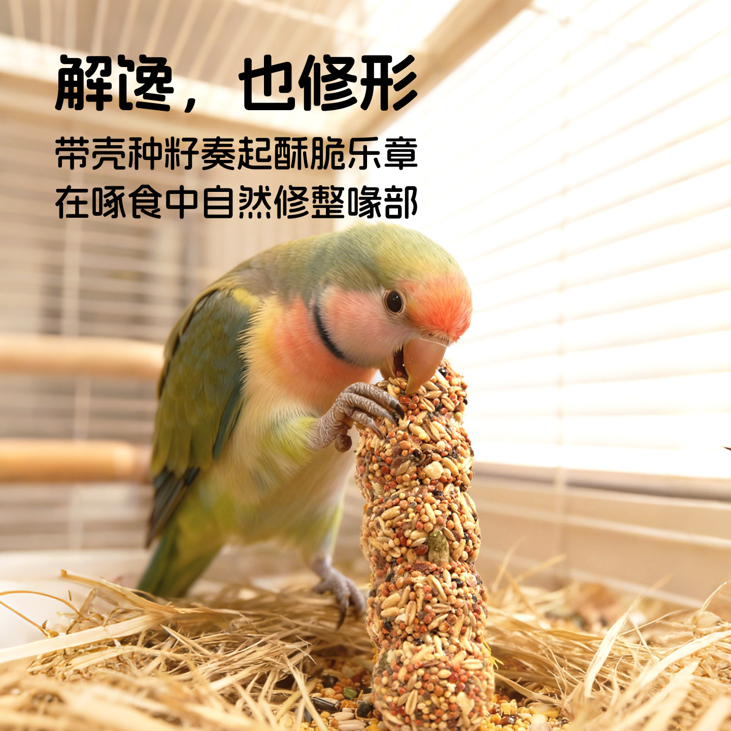 新派宠物鹦鹉谷物棒坚果草籽花草磨牙棒玄凤鸟零食磨喙解压啃咬棒,淘宝优惠券,粉丝福利购,淘宝优惠卷