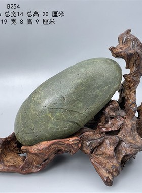 天然石头奇石长江石长江原石观赏石水冲石画面石图案石手玩石B4