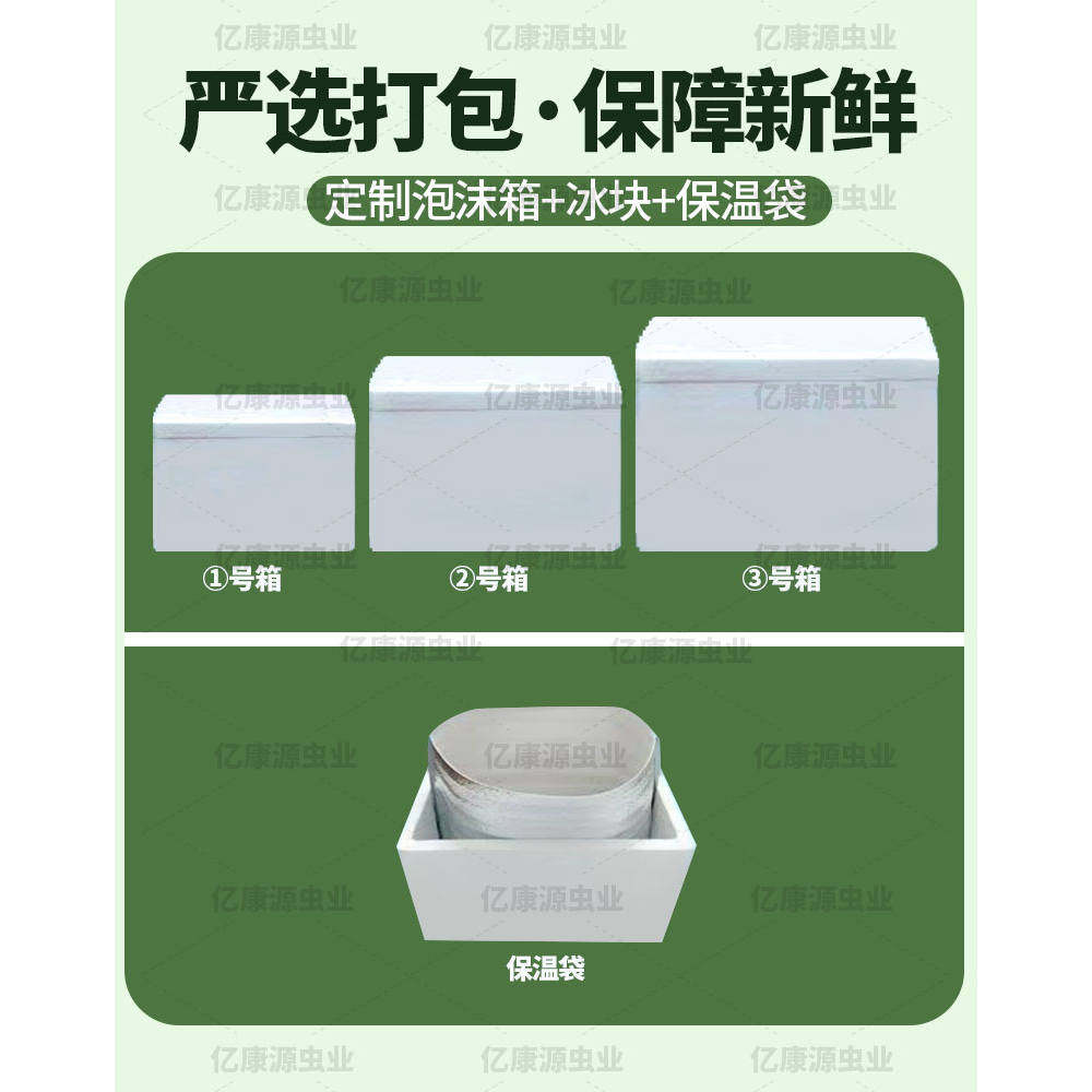 鲜冻蟋蟀冻干蟋蟀冻品冷冻蟋蟀守宫爬宠活冻蟋蟀食用级别绿色卫生,淘宝优惠券,粉丝福利购,淘宝优惠卷