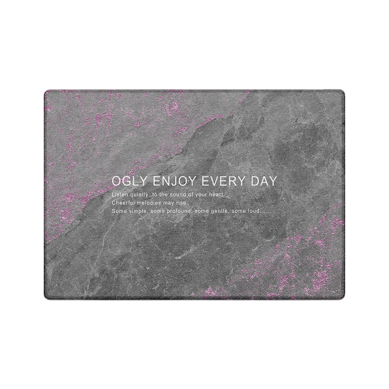 经典入户门地垫2023升级款入门口地垫地毯高端耐脏高级入户门垫 - 图0