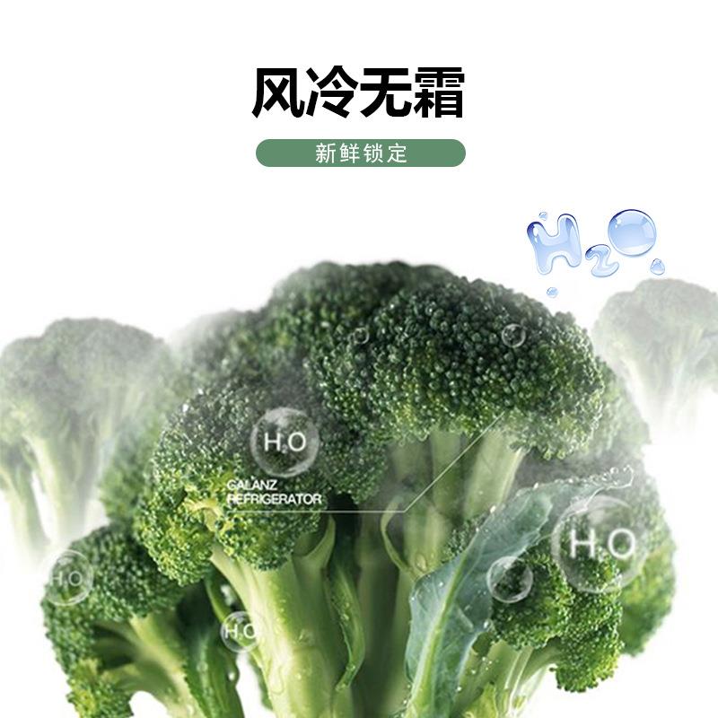 星星商用四门单温冷冻冰箱厨房冷冻冰柜大容量冷柜风冷直冷双温 - 图0