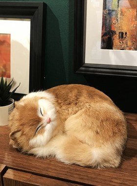 仿真猫咪家居创意摆件样板间软装道具摄影道具装饰品毛绒玩具玩偶