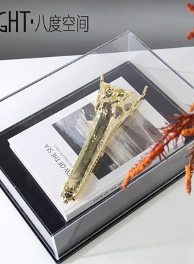 样板间售楼部软装饰品书房书桌陈设品鳄鱼头骨摆件亚克力防尘罩