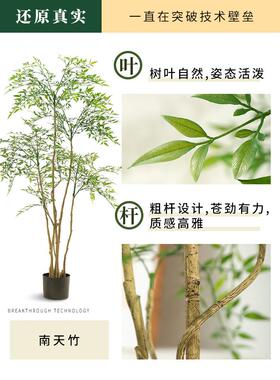 南迪纳竹子模拟绿色植物室内电视柜旁边的大型地板站立的装饰品客
