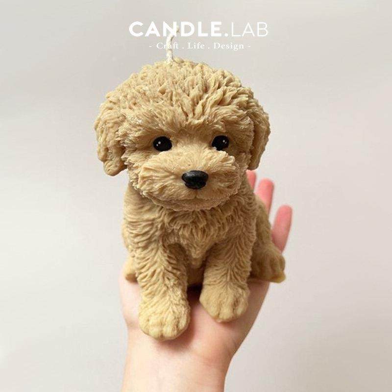 CANDLE.LAB | 逼真大号立体泰迪狗DIY手工香薰蜡烛扩香石硅胶模具,淘宝优惠券,粉丝福利购,淘宝优惠卷