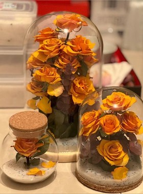 干花保存瓶diy干花手办收纳软木塞玻璃罩防尘展示架手工纪念高通