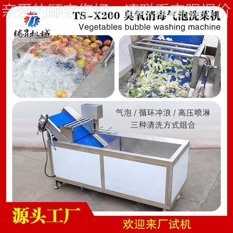 腾昇工厂产枸杞清机多功能叶RIU菜类清洗 机自 洗机器尺寸可定,淘宝优惠券,粉丝福利购,淘宝优惠卷