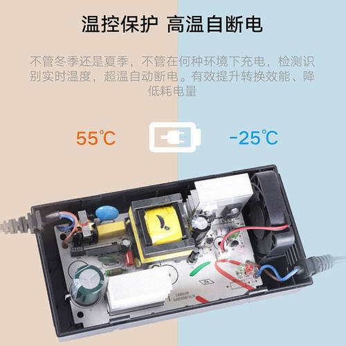 爱狮电动车充电器48V12AH60V20AH72V32AH45AH84V96伏50铅酸蓄电池 - 图1
