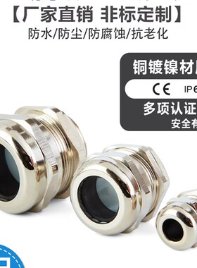 304不锈钢电缆防水接头 金属格兰头 M12 16 M20 M25 m63 PG接头