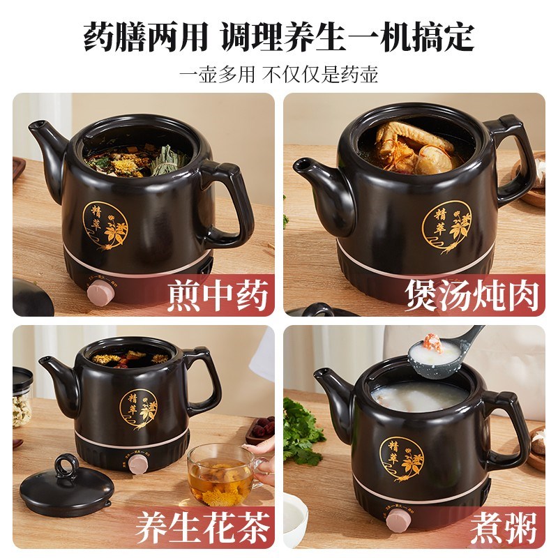 德国煎药壶全自动熬药中药壶家用中医煮煎药壶砂锅U煲药机插电药 - 图0