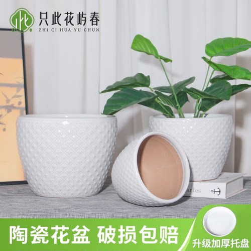 陶瓷大花盆大口径阳台客厅中小花盆纯白圆形绿萝百搭客厅阳台花盆 - 图2