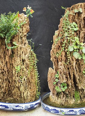 天然芦管石风景石上水石吸水石假山盆景观赏鱼缸造景客厅天然原石