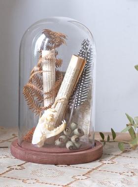 书房样板房玻璃罩科普植物饰品花卉植物主题永恒花卉展示配件盒装