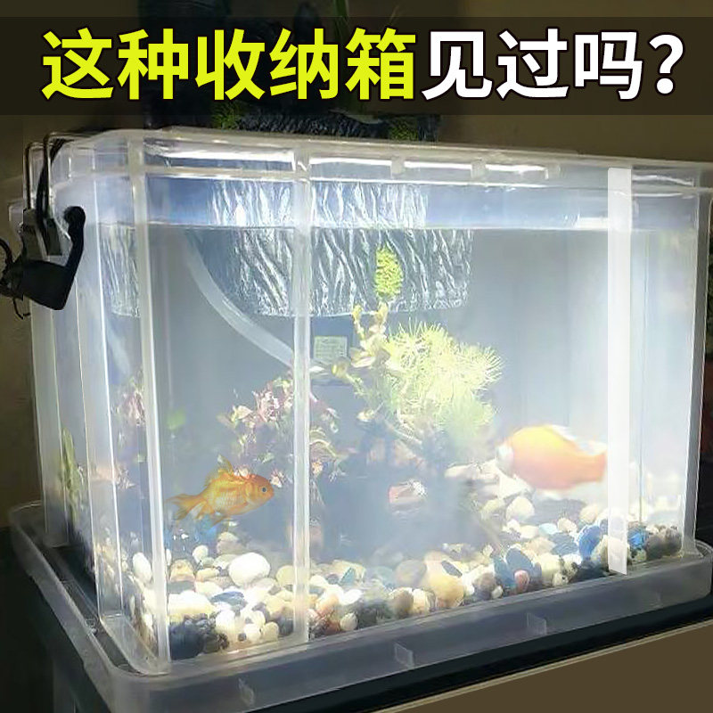 pp塑料透明水箱养鱼箱大号长方形家用养殖龟箱整理箱养宠物的箱子,淘宝优惠券,粉丝福利购,淘宝优惠卷