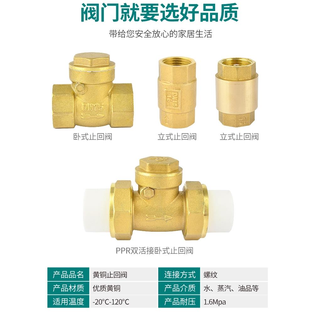 4/6分热熔止回阀黄铜卧立式逆止20/25PPR双活接自来水管表单向阀 - 图1