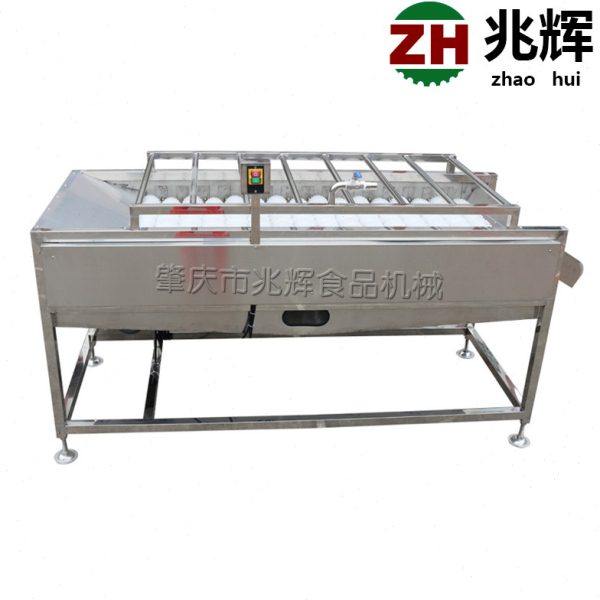 全自动桔子清洗机 连续软毛刷喷淋清洗机 不锈钢材质洗果设备,淘宝优惠券,粉丝福利购,淘宝优惠卷