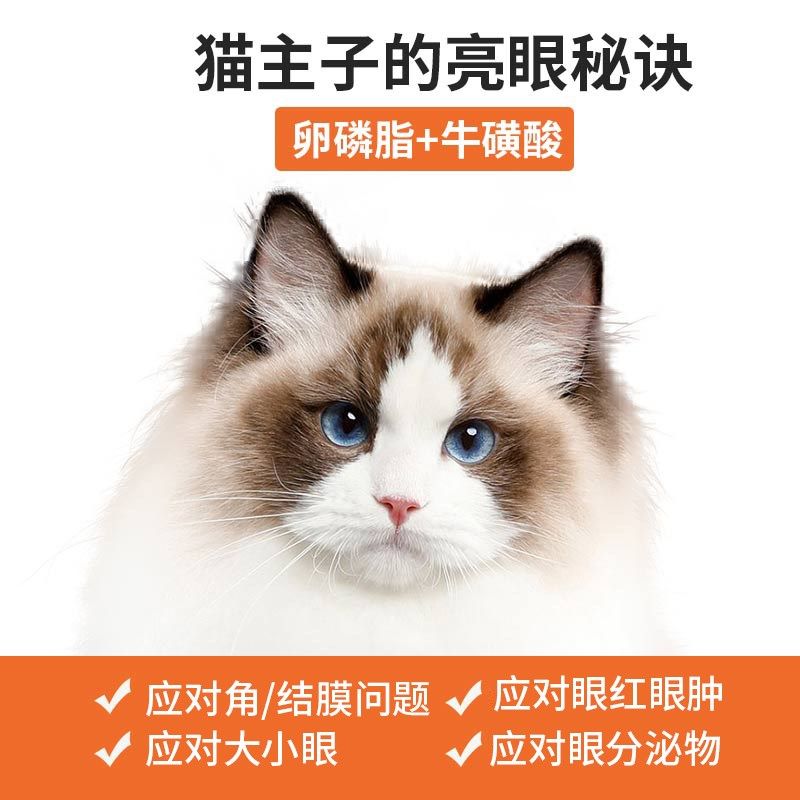 宠安仕猫用赖氨酸膏增强免疫力营养补充剂缓解鼻支眼泪喷嚏防掉毛,淘宝优惠券,粉丝福利购,淘宝优惠卷